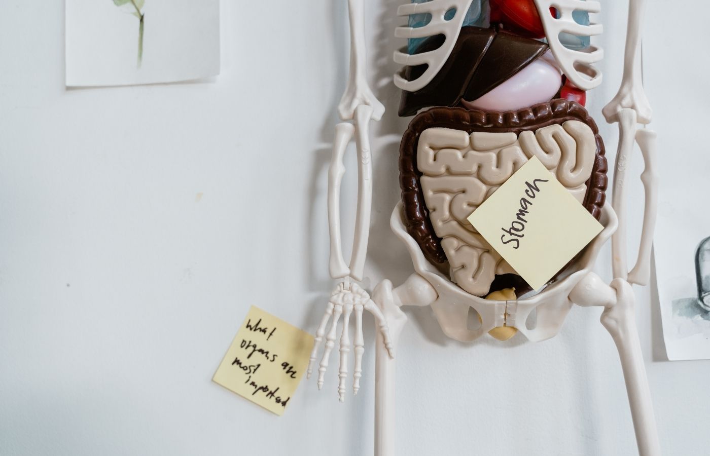 Get a good gut feeling